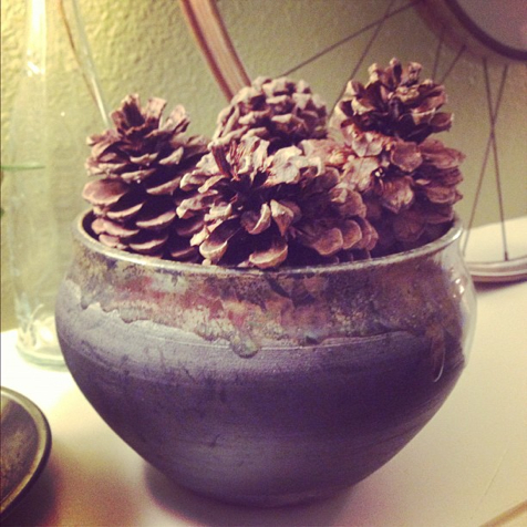 cinnamon pinecones